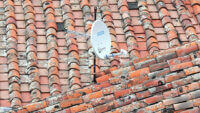 San Diego Roof Repair - San Diego County Roofing & Solar