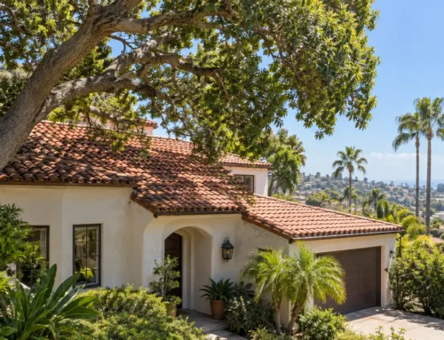 Trees Near Your Roof? How San Diego Homeowners Can Prevent Roof Damage